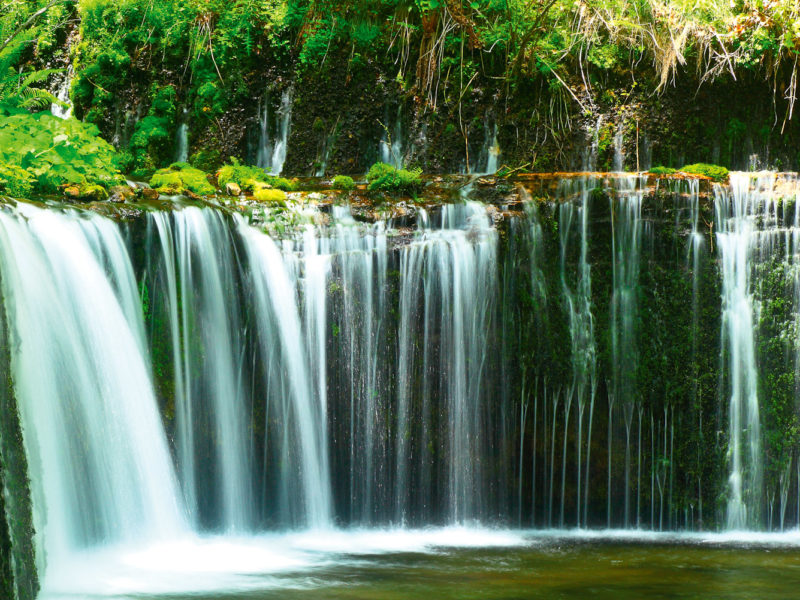 Shiraito Falls in the Shizuoka prefecture, Japan.