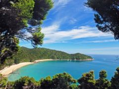 Abel Tasman Coast Track, New Zealand.