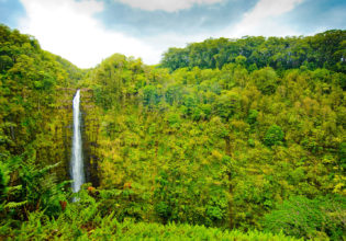 ‘Akaka Falls on the Big Island, Hawai'i.