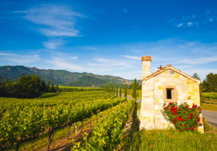 Welcome to California's wine country, Napa Valley.