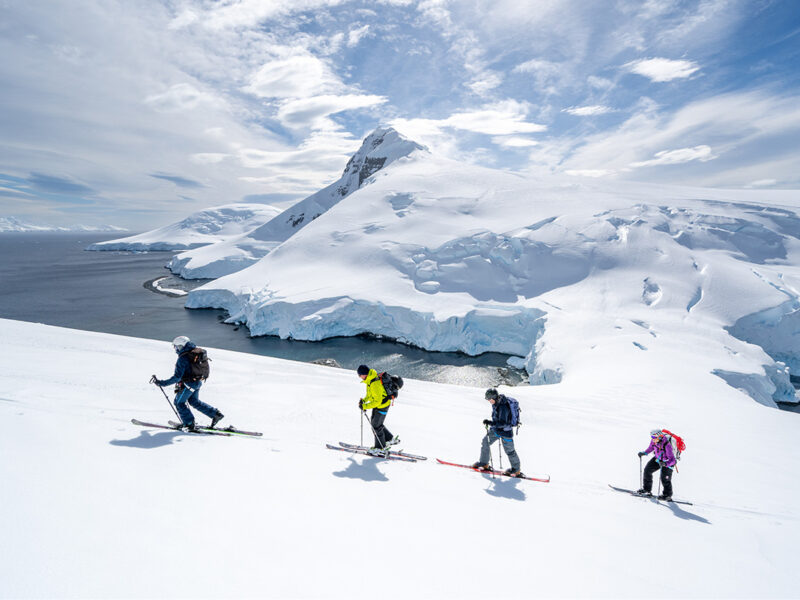 tour group skiing in antarctica with aurora