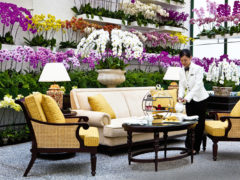 The Orchid Conservatory at The Majestic Hotel Kuala Lumpur.
