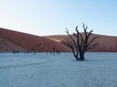 Terms and conditions of our competitions.