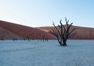 Terms and conditions of our competitions.