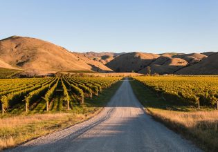 vineyards in Wither Hills, Marlborough, New Zealand