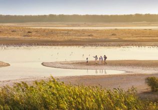 Al Wathba Wetlands, Abu Dhabi