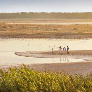 Al Wathba Wetlands, Abu Dhabi