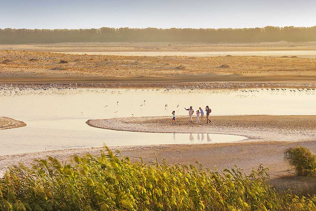 Al Wathba Wetlands, Abu Dhabi