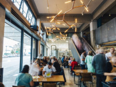 What to do when it rains in Wellington