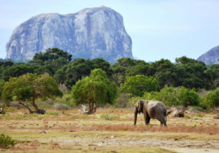 Everything you need to know about Yala National Park